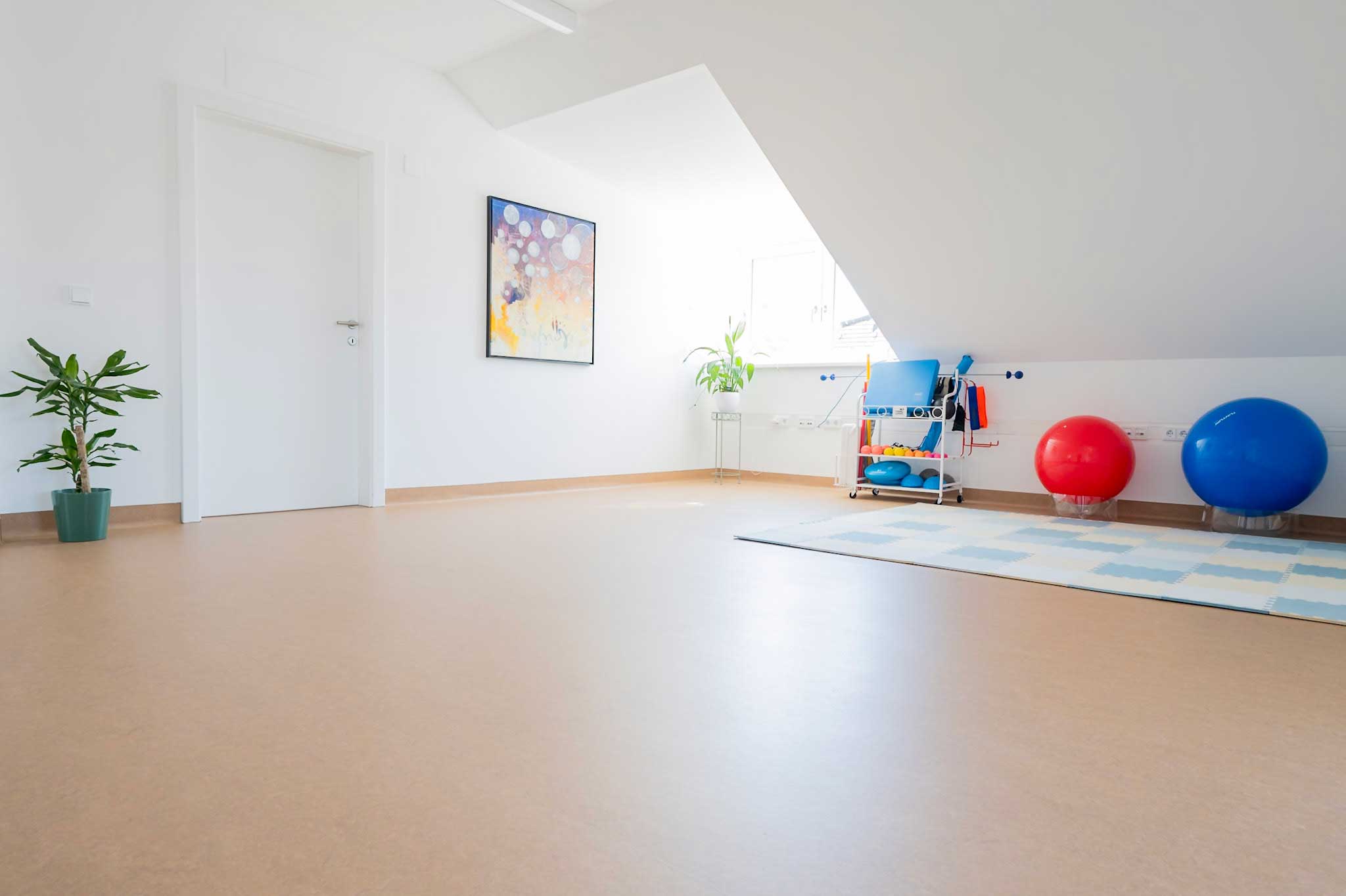 Ein heller Fitnessraum mit beigem Boden, Yogamatten, roten und blauen Gymnastikbällen und einer grünen Topfpflanze.
