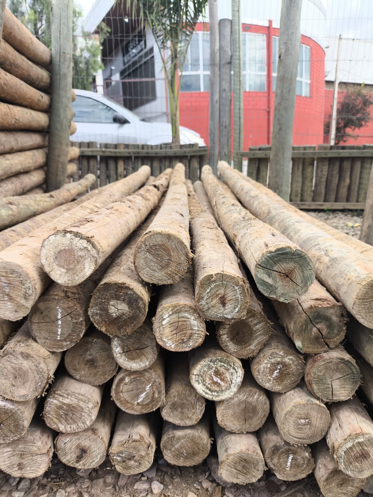 Eucalipto roliço tratado - Mais Madeiras