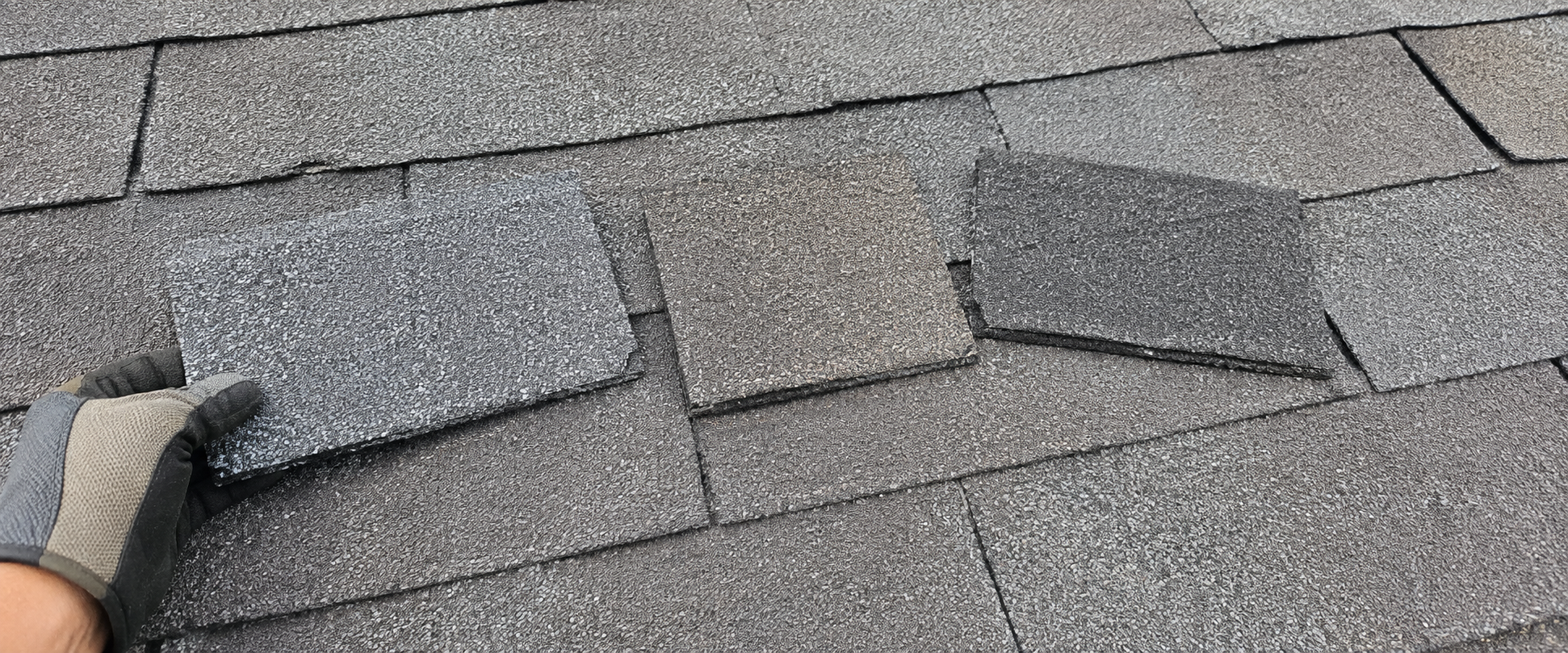 shinges with matching colors