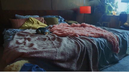Unmade bed with rumpled gray and pink blankets and pillows in a dimly lit room with a red lamp.