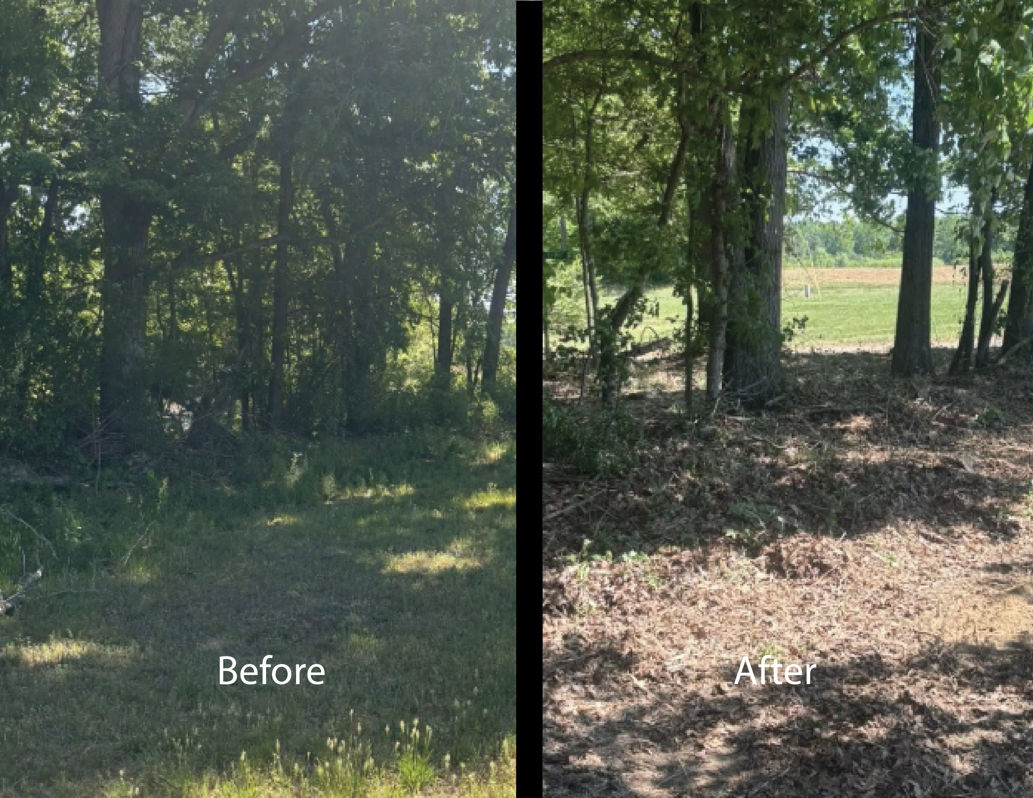 image of before and after cleaning in a kitchen
