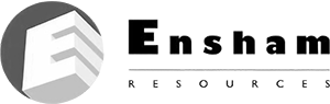 Example Logo