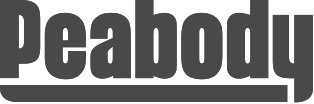 Example Logo