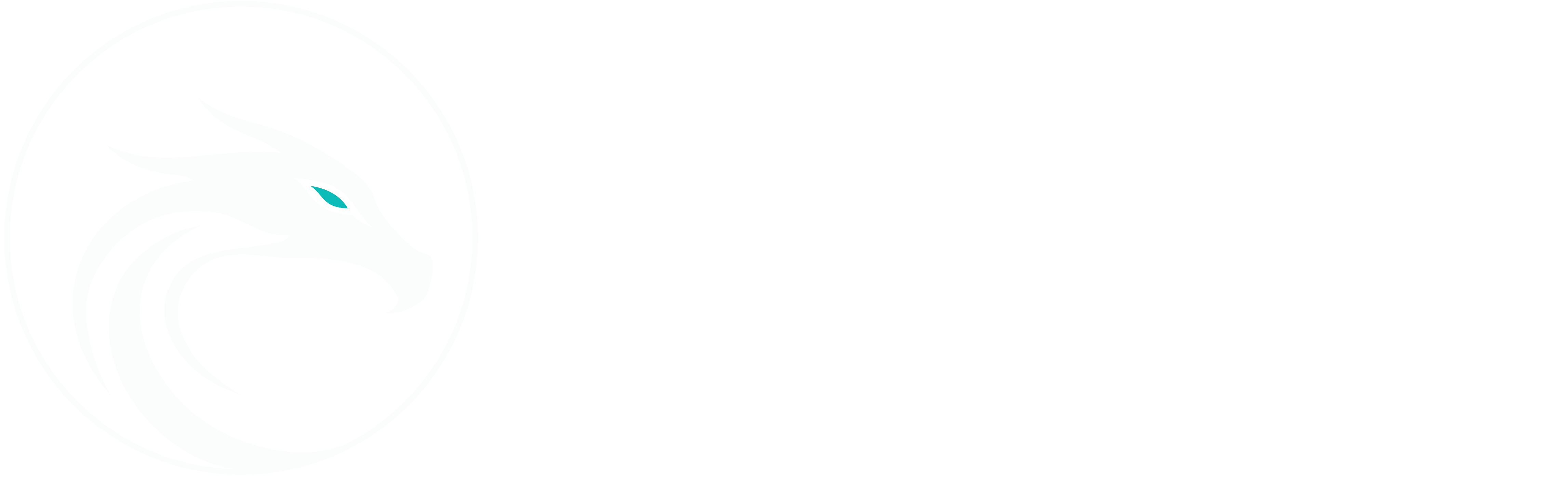 Dragon Funding Group