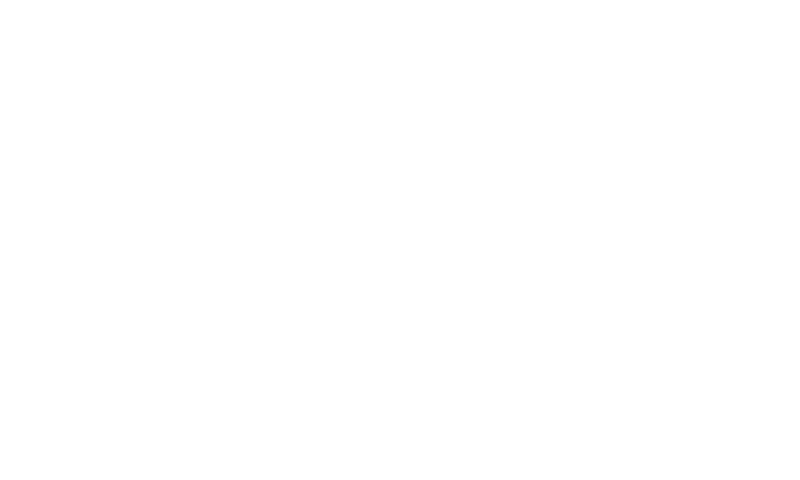Logo of Chartered Accountants Australia and New Zealand with stylized CA letters above the text.
