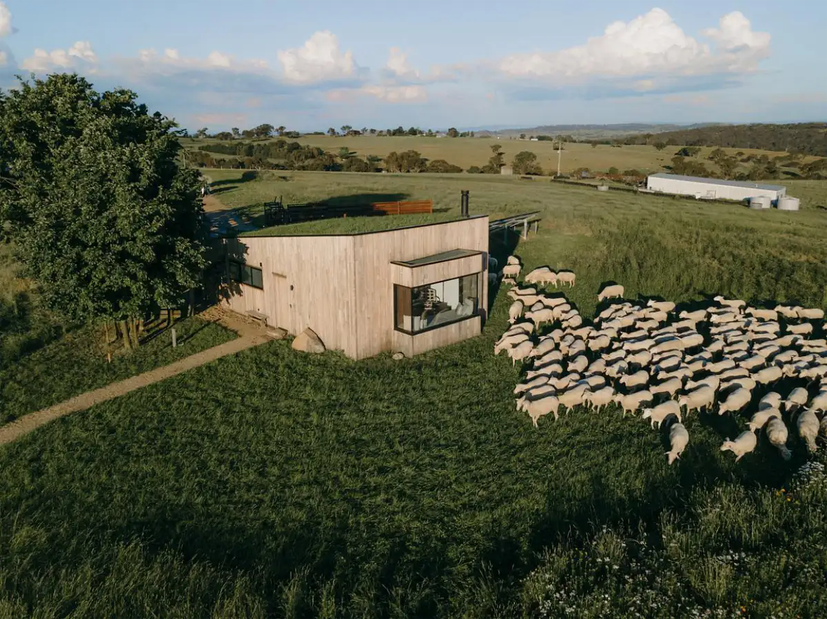 The Farmers Hut at Wilga Station nestled among grazing sheep