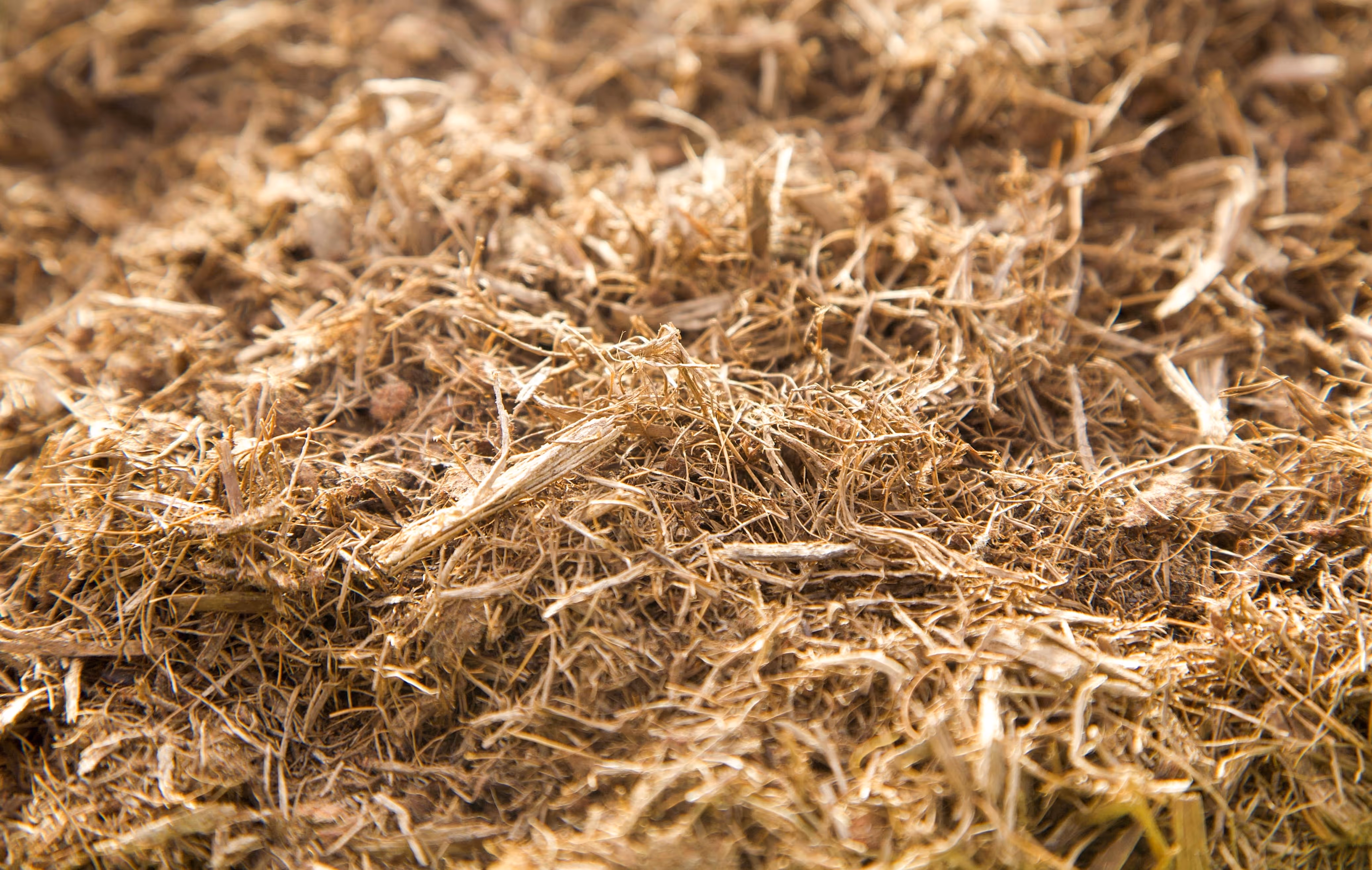 Close-up of loose, dry, straw-like plant material or fibers in natural brown tones.