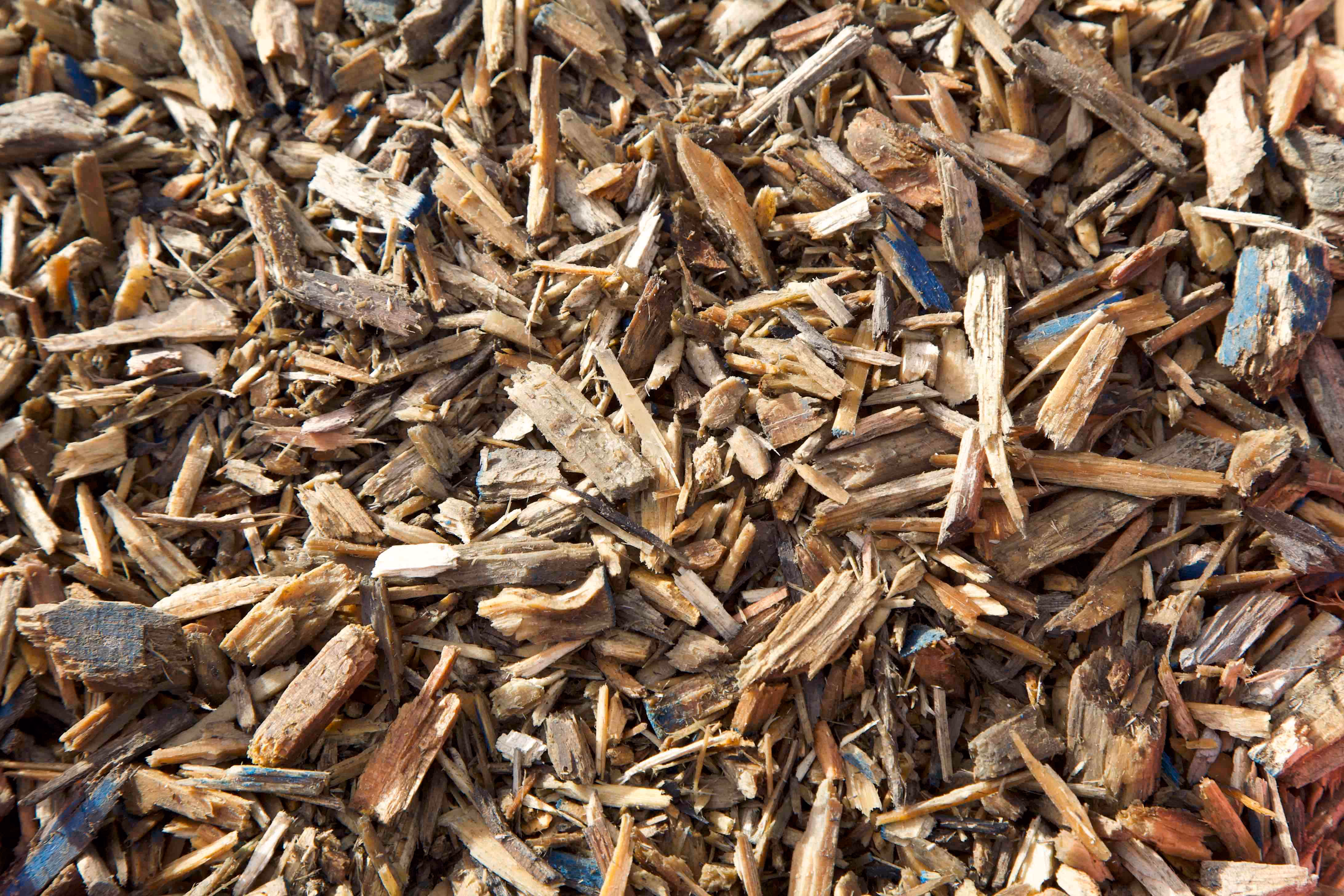 Close-up of assorted small wood chips and bark mulch in natural brown tones.