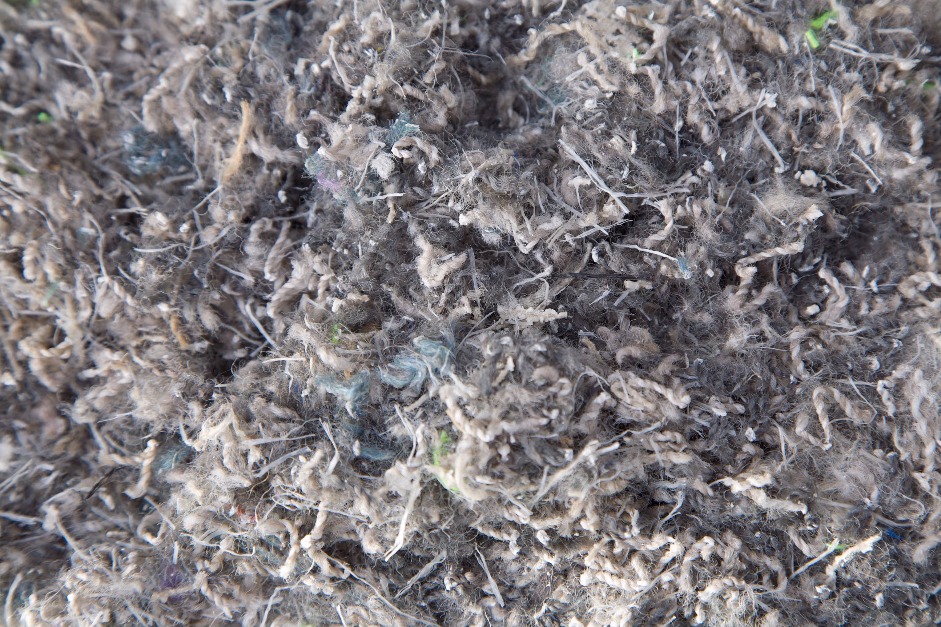 Close-up of a dense pile of shredded fibers and lint with varied textures and colors.