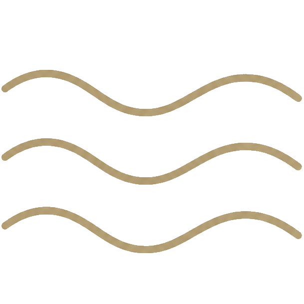 Simple line drawing of a leaf with visible veins on a black background.