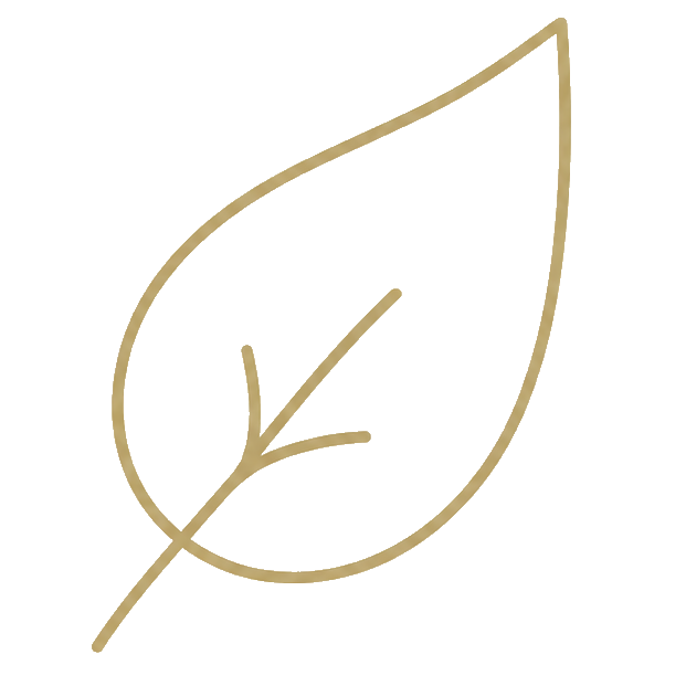 Simple line drawing of a leaf with visible veins on a black background.