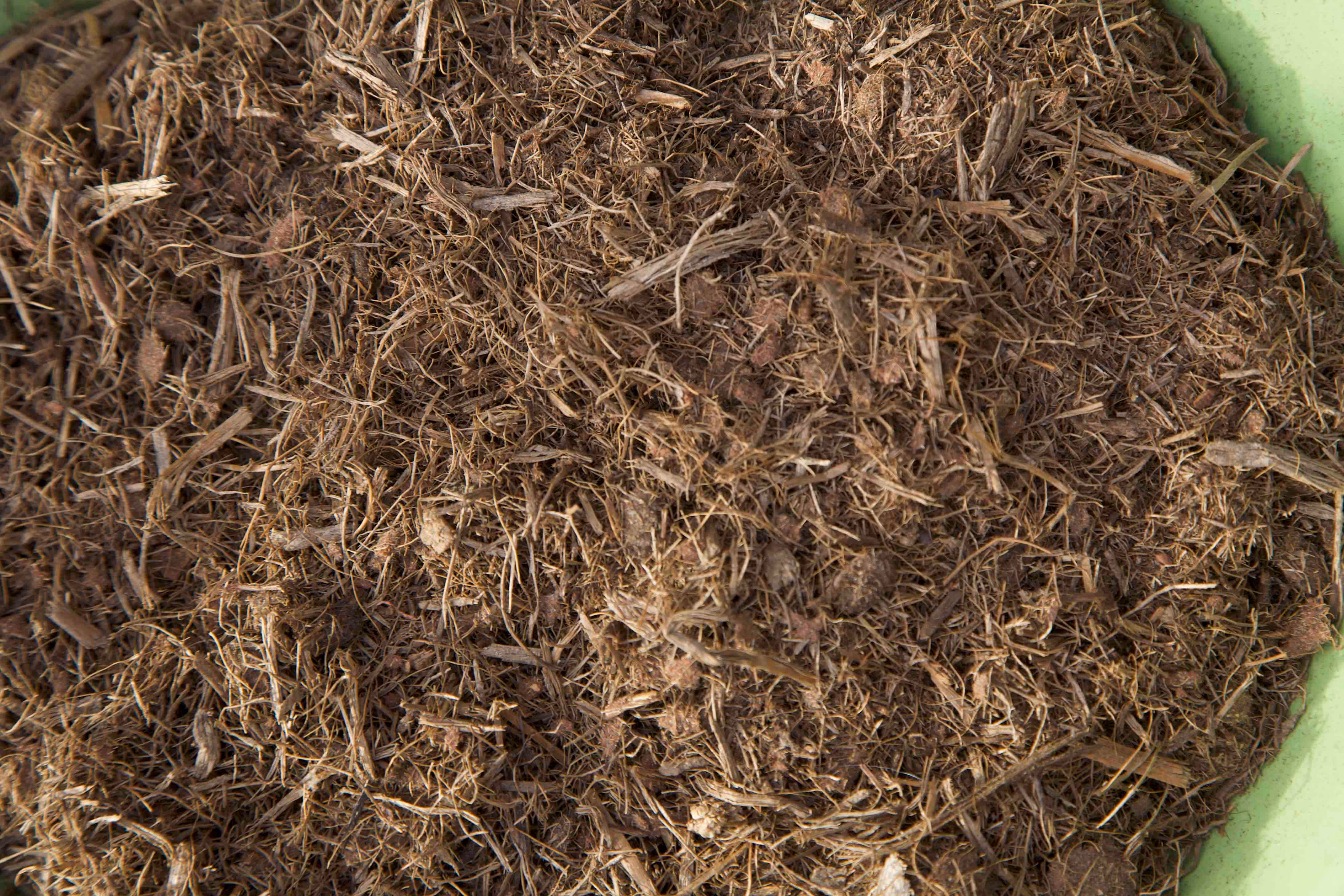 Close-up of brown mulch or wood chips in a green container.