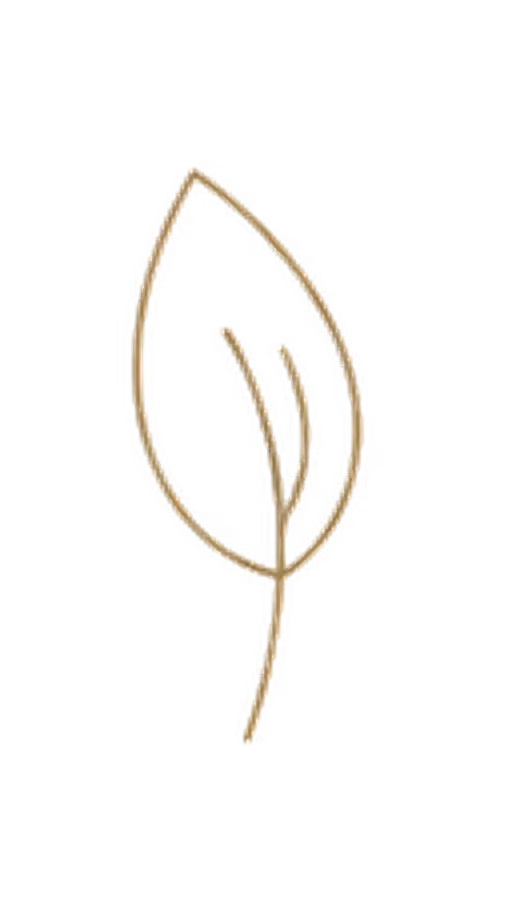 Simple line drawing of a leaf with three inner veins on a black background.