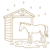 Line drawing of a horse standing under a shelter with raindrops falling around it.