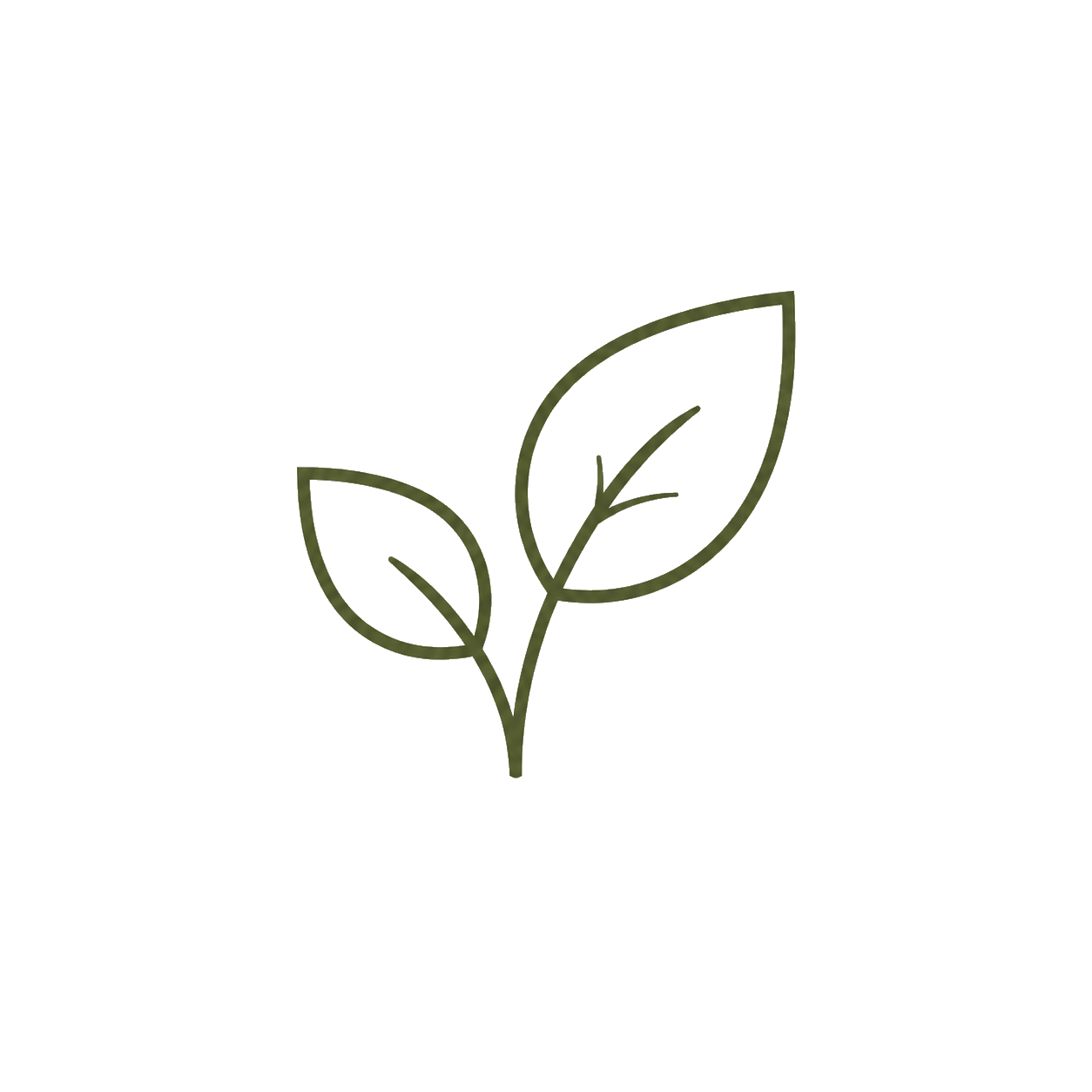 Simple green outline drawing of two leaves on a single stem.