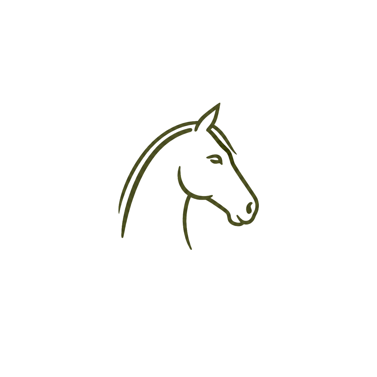 Simple line drawing of a horse's head in profile facing right on a black background.