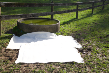 White fabric laid on grass beside a round concrete water trough with wooden fence in the background.