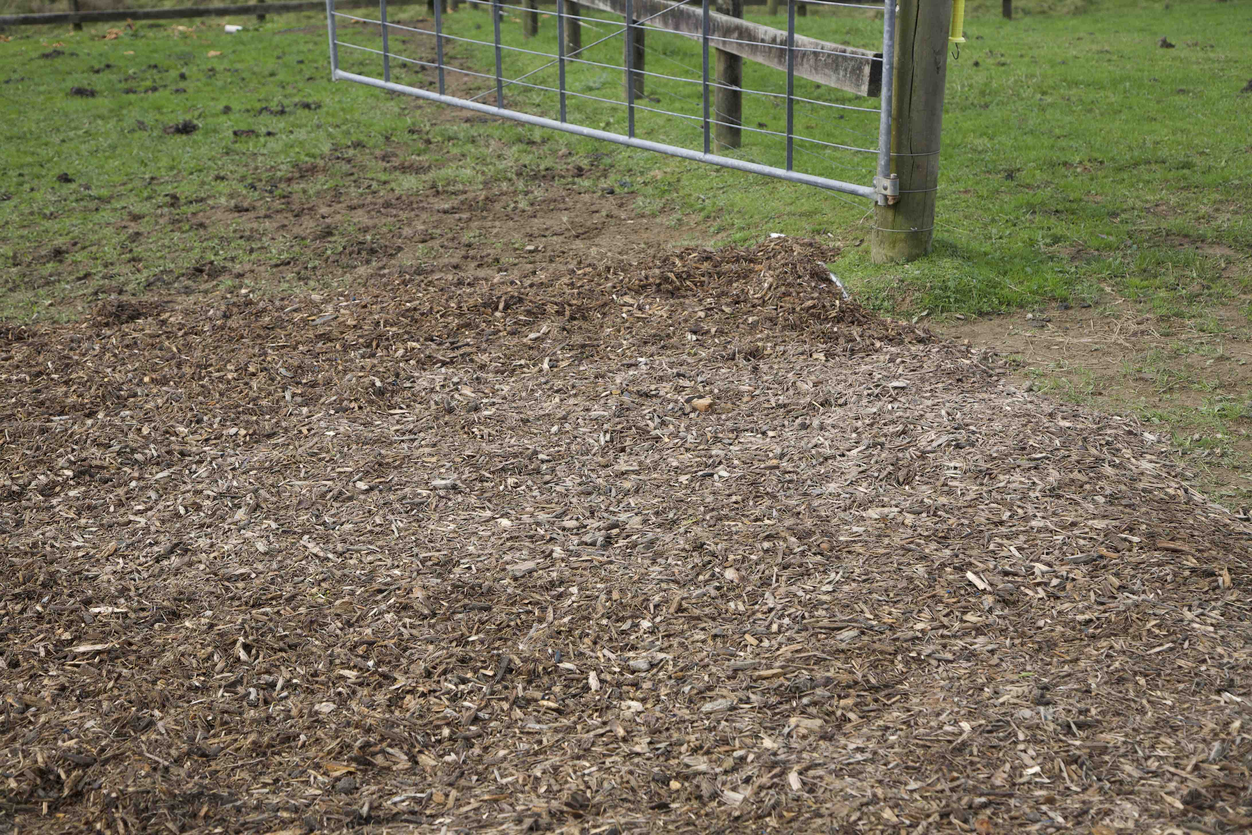 Mulched garden bed adjacent to a wire fence on a grassy area.