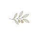 Simple olive branch with eight green leaves on a white background.