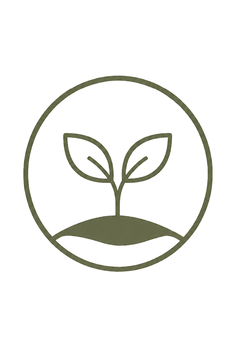 Green outline icon of a seedling sprouting from the ground in a circle.