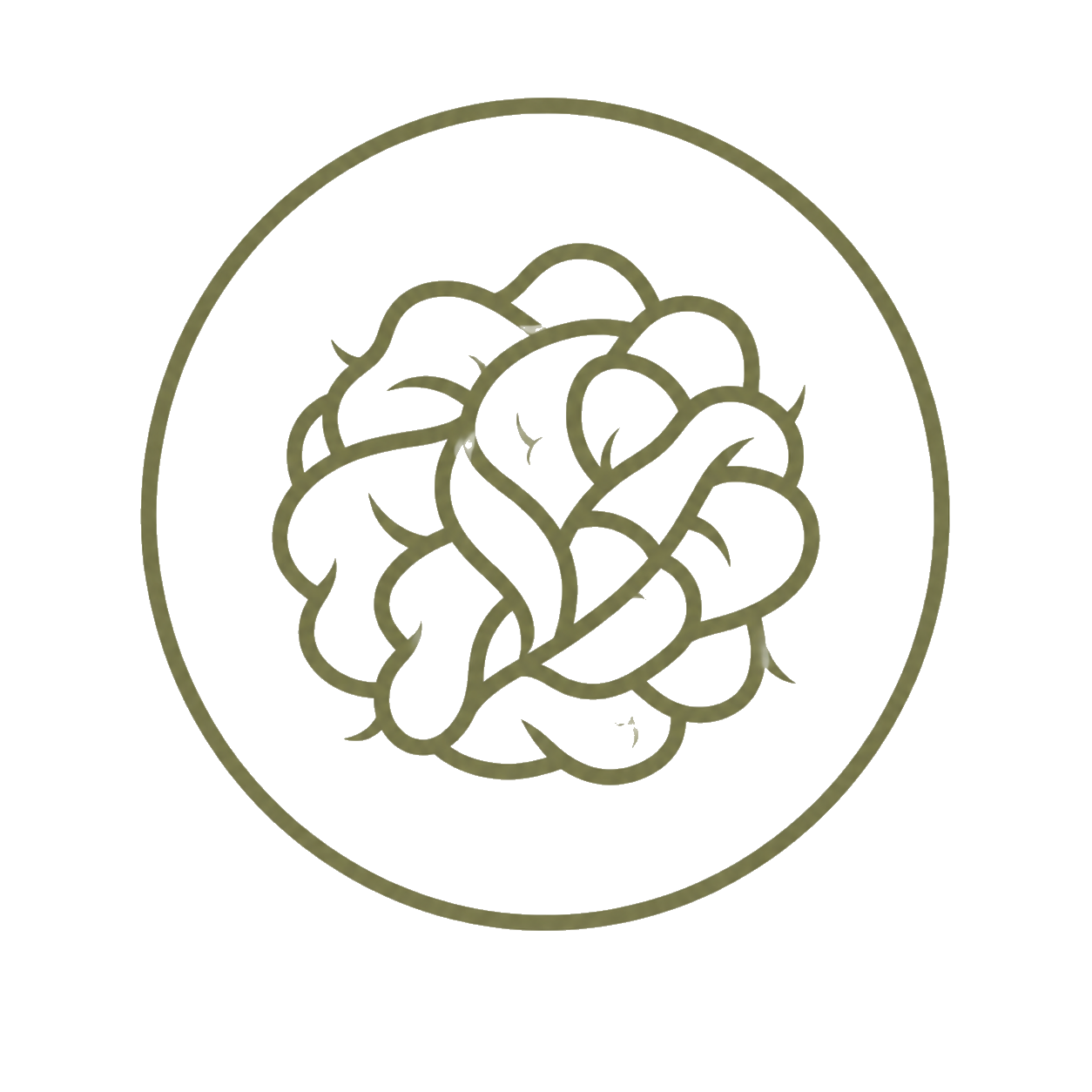 Simplified outline of a leafy green vegetable inside a circular border on black background.