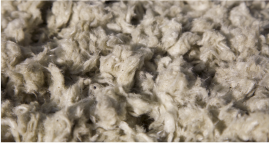 Close-up of loose, dry, straw-like plant material or fibers in natural brown tones.