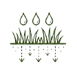 Three water droplets above grass with arrows pointing downward representing water absorption.