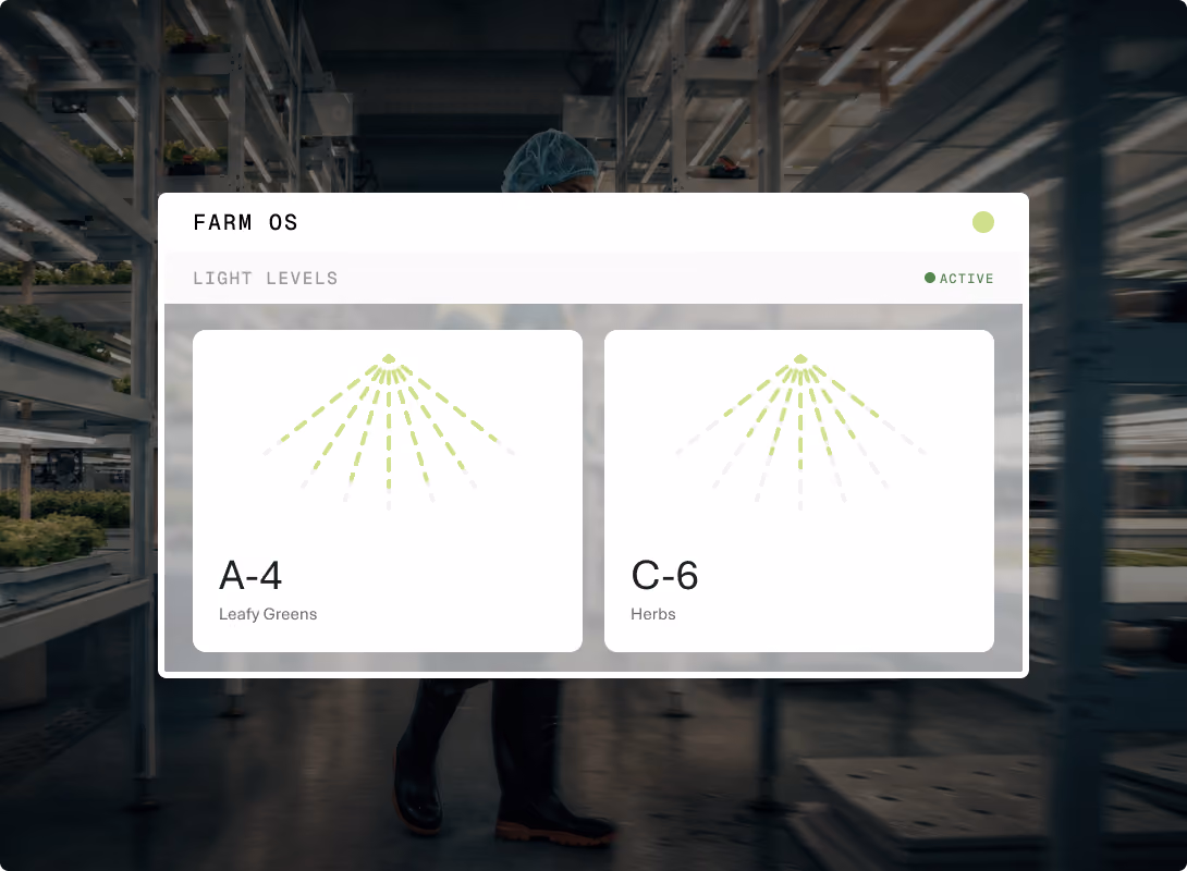 Optimized Light Systems