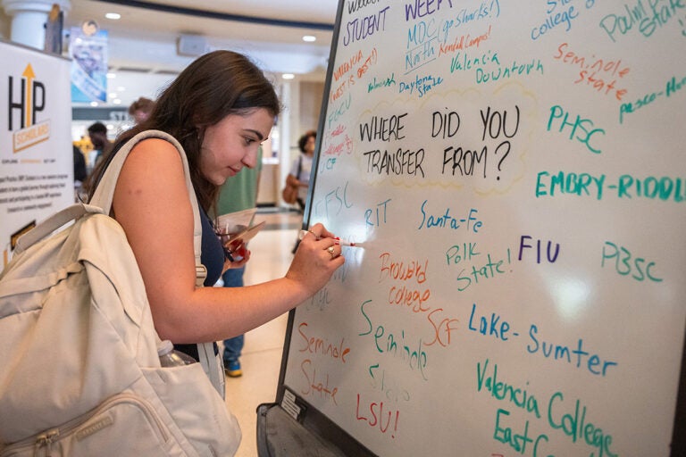 Does UCF have a job placement program for transfer students?