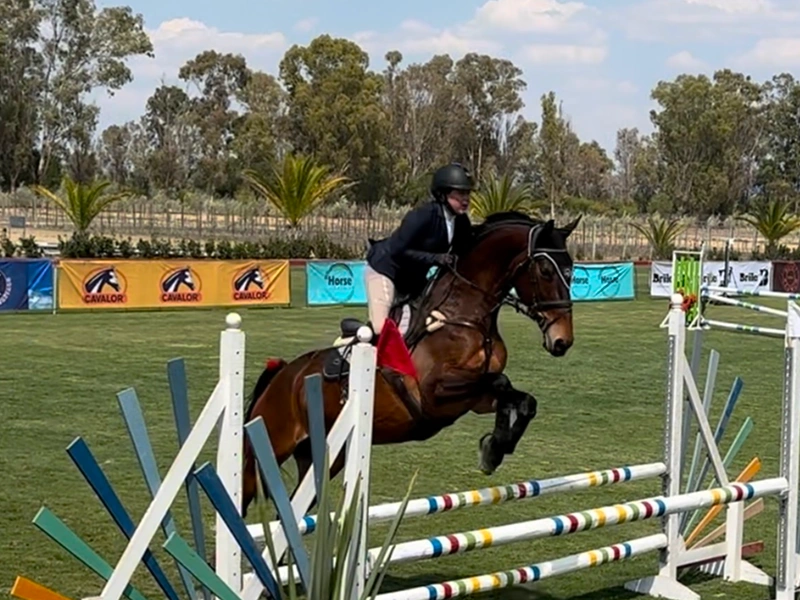 Jinete saltando un obstáculo con su caballo durante un torneo ecuestre al aire libre