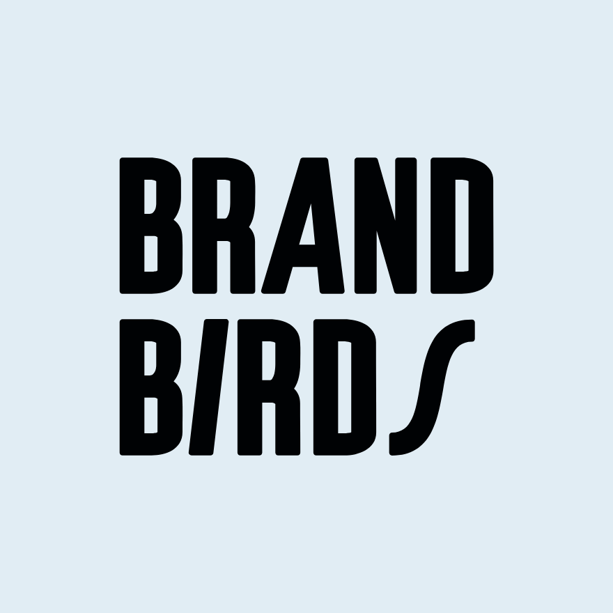 Text logo reading 'BRAND BIRDS' in bold black letters on a light blue background.