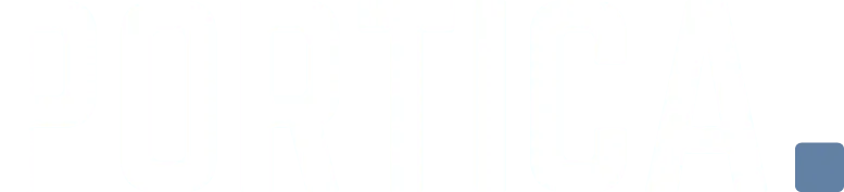 Portica Securities