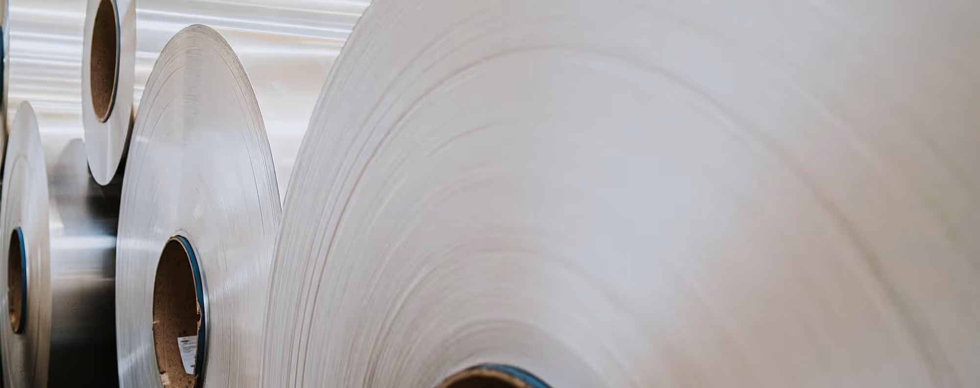 Detailed close-up view of tightly wound white pre-coated aluminium coils prepared for industrial fabrication.