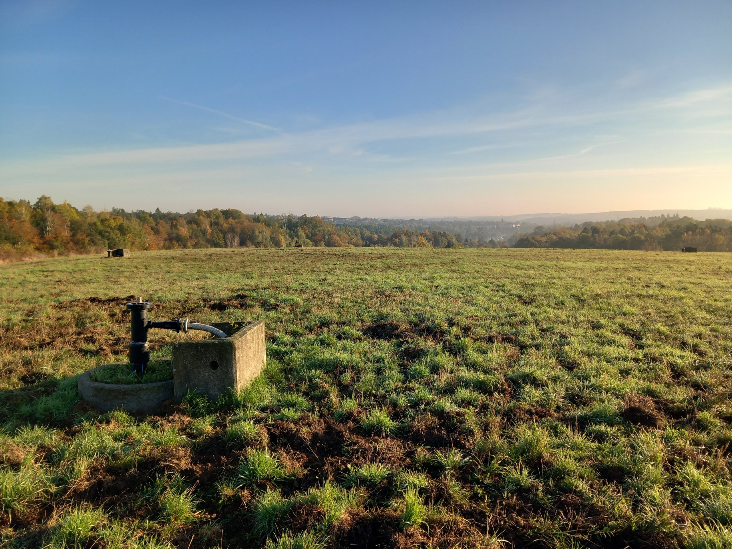 Green grass field with a water pump and trees in the distance under a clear blue sky.