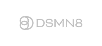 DSM N8 company logo with stylized circular icon to the left of the text.