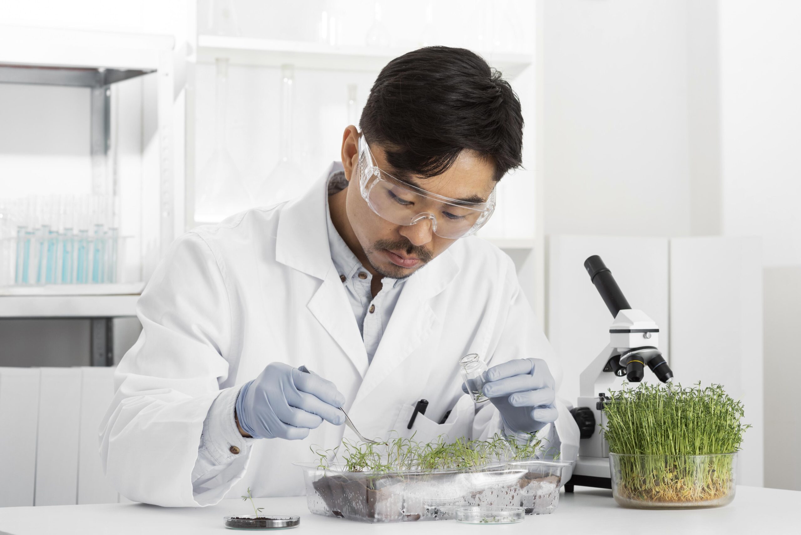 Herbal Nootropics