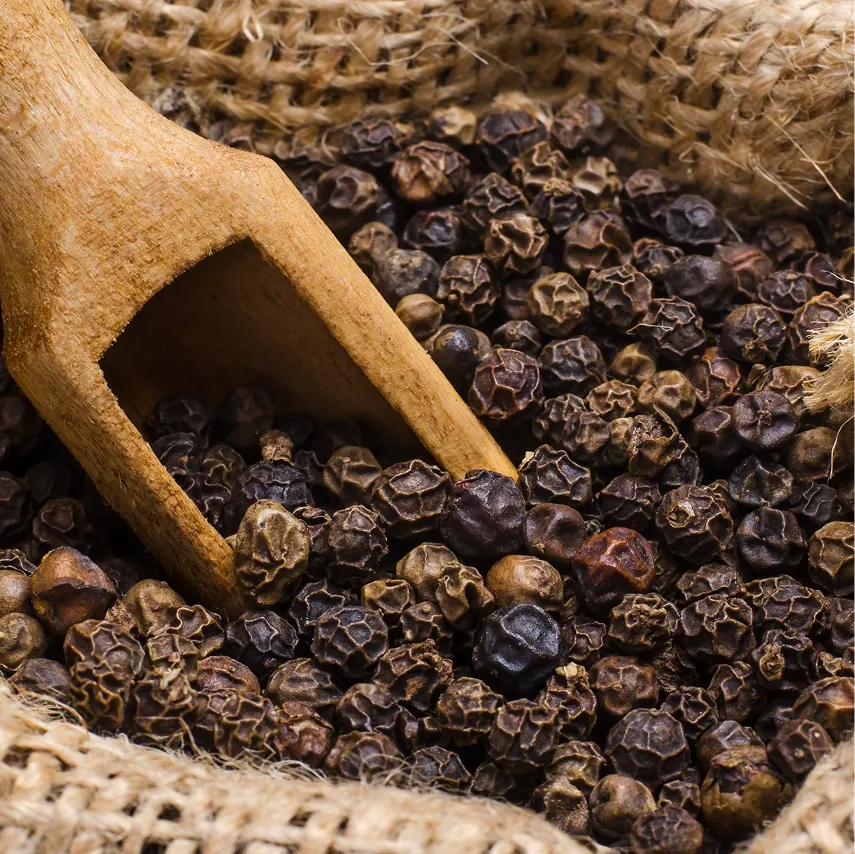 Herbal Nootropics