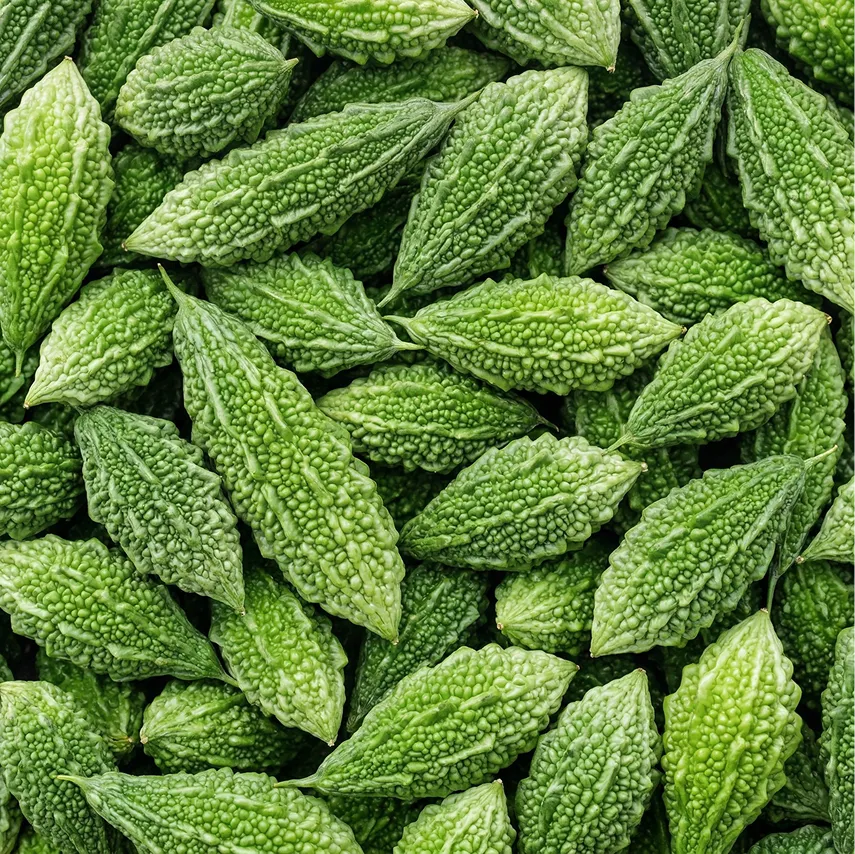 Herbal Nootropics