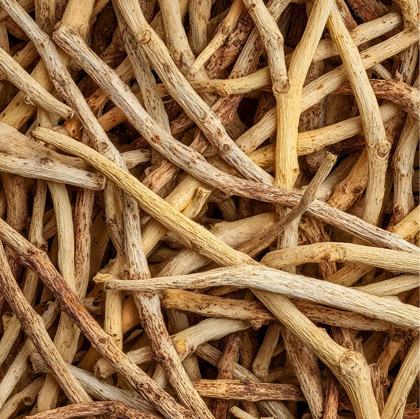 Herbal Nootropics