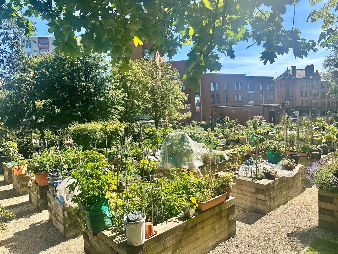 Greyfriars Biophillic Garden