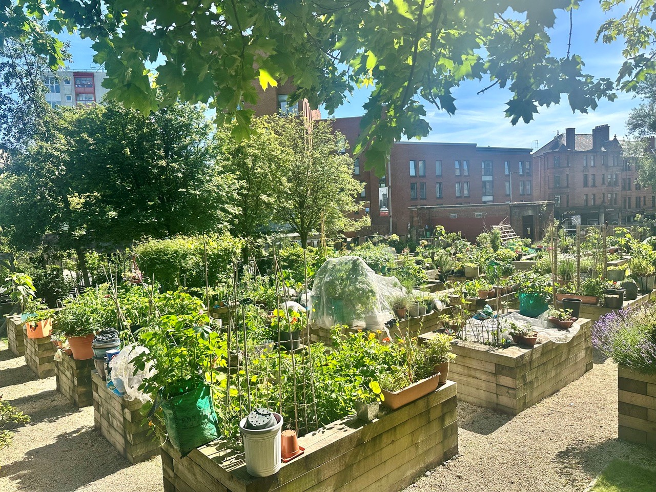 Greyfriars Biophillic Garden