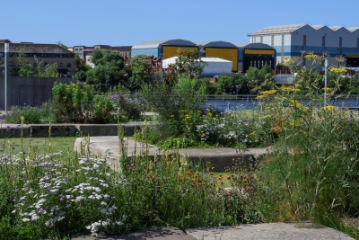 Clydeside Garden