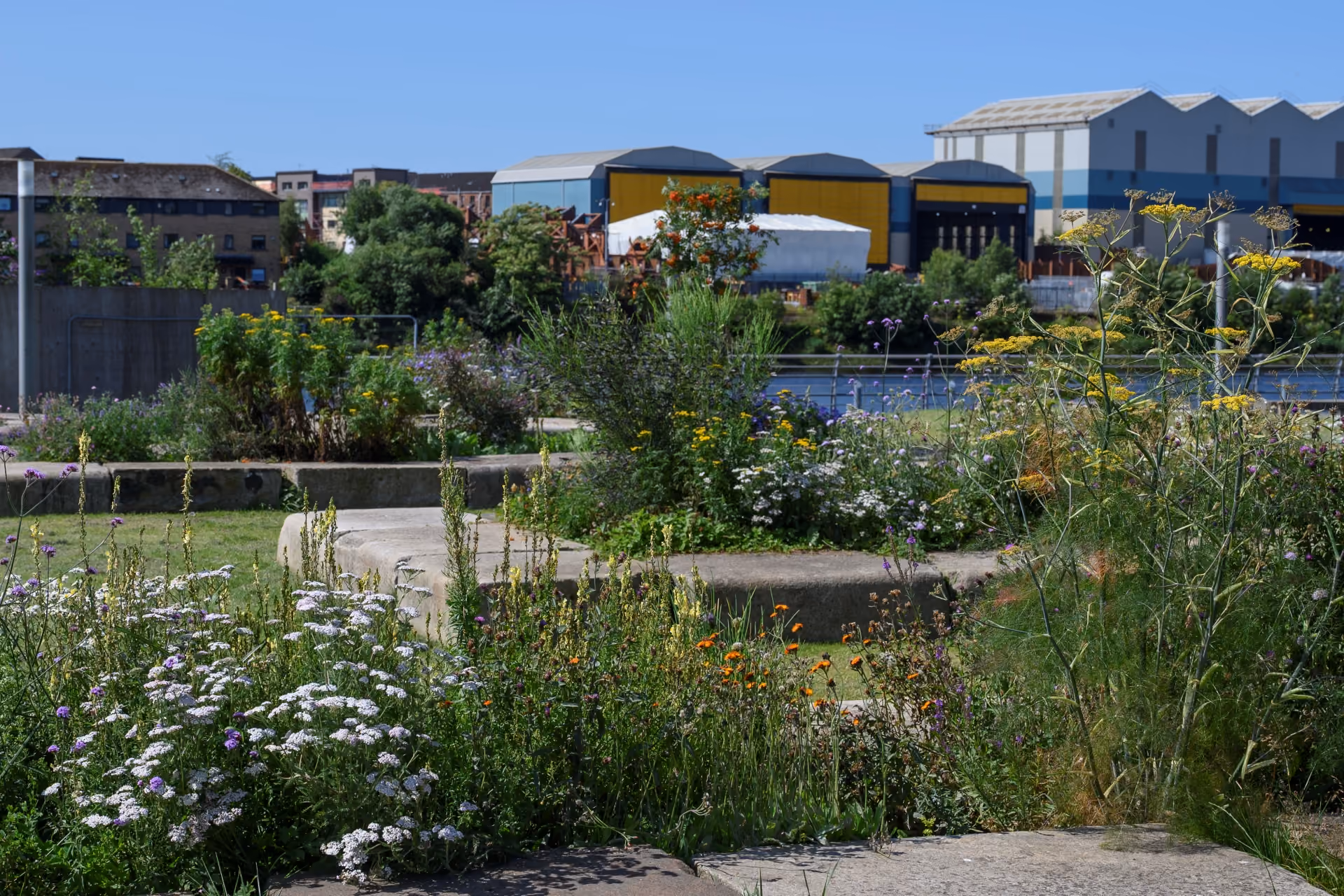 Clydeside Garden