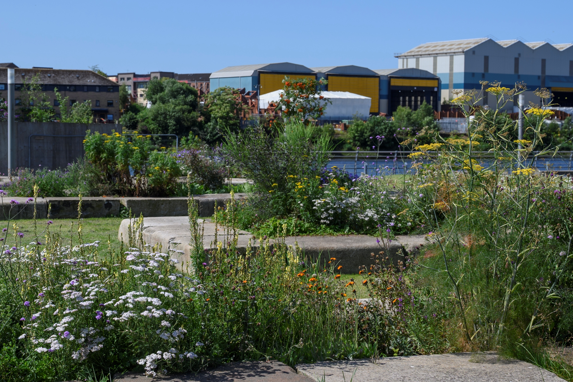 Clydeside Garden