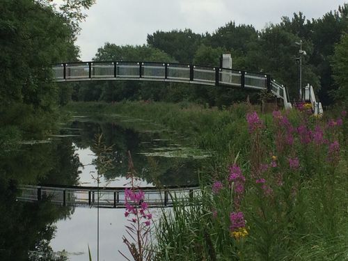 Glasgow's Forth & Clyde Canal - ICE Walking Tours (Sold out)
