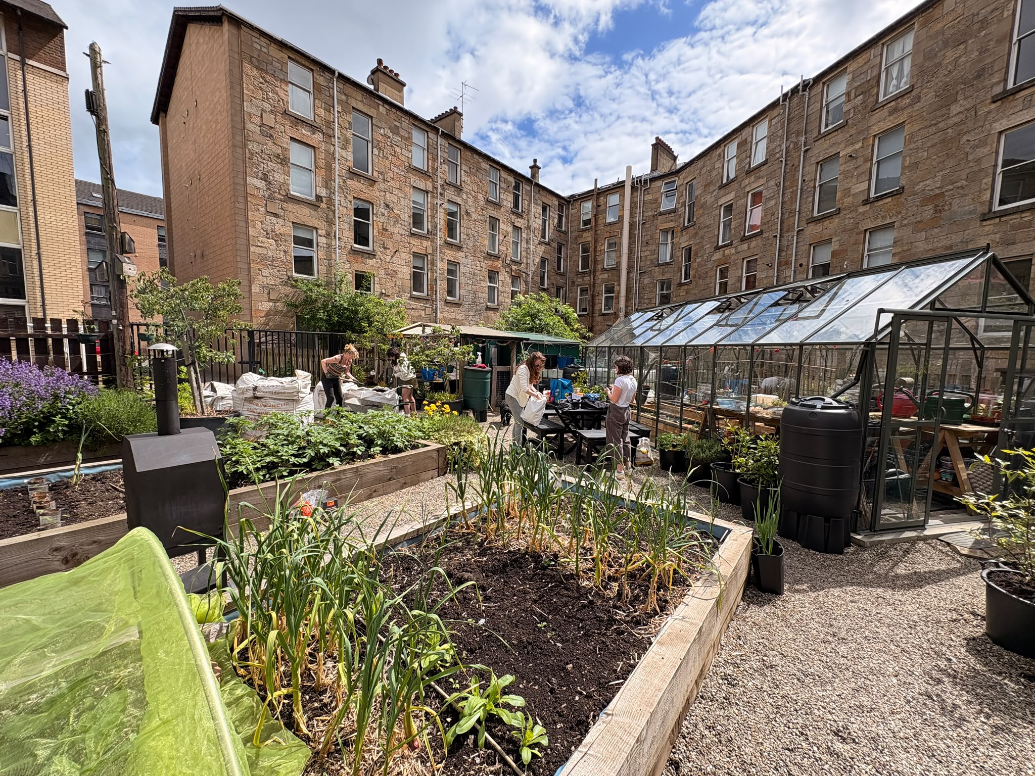 G3 Growers Community Garden