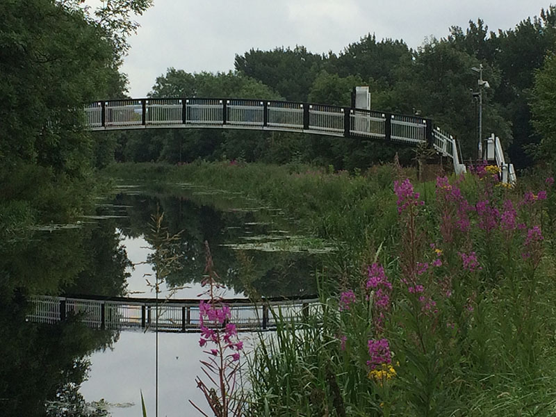 Glasgow's Forth & Clyde Canal - ICE Walking Tours (Sold Out)