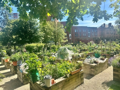 Greyfriars Biophillic Garden 