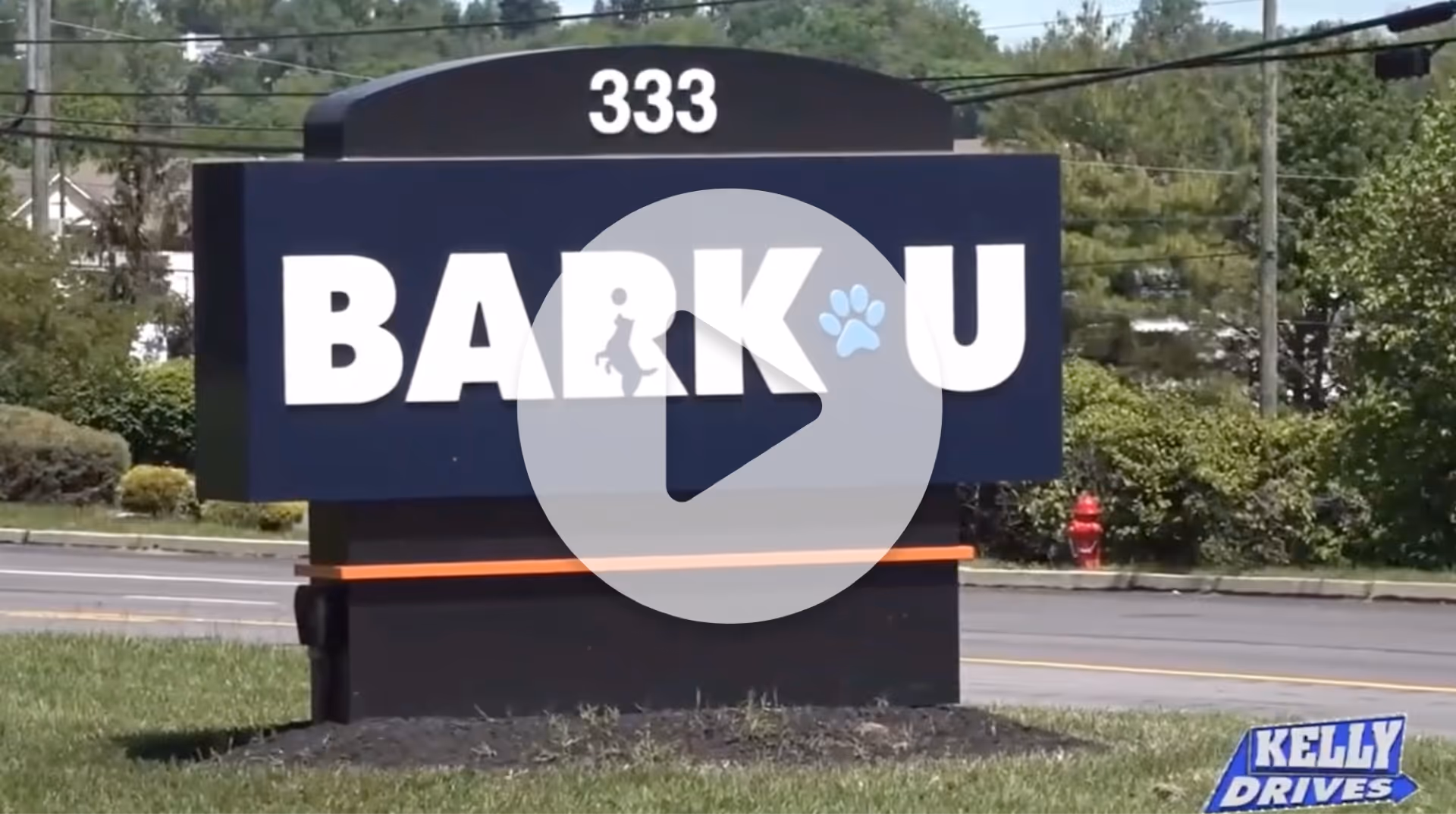 BARK U - Featured on Fox 29's Kelly Drives with Bob Kelly