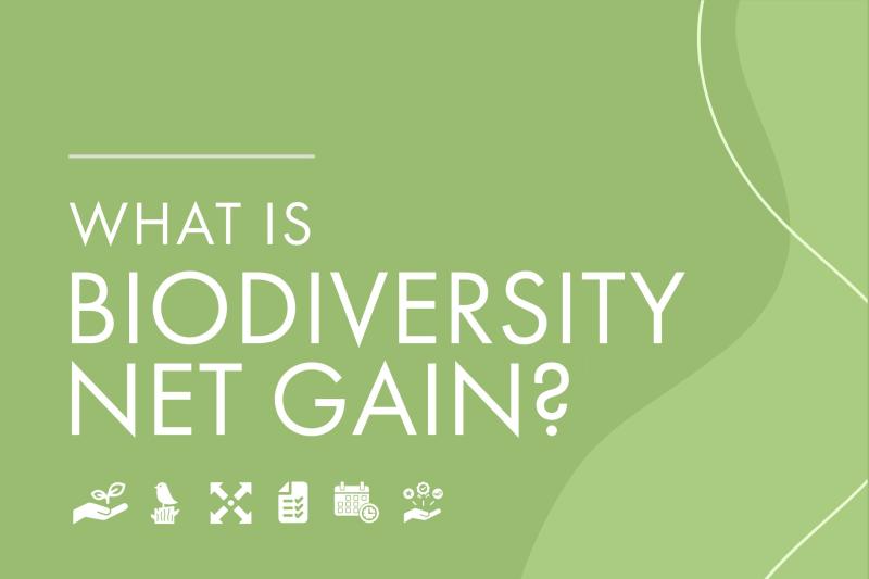 What is Biodiversity Net Gain?